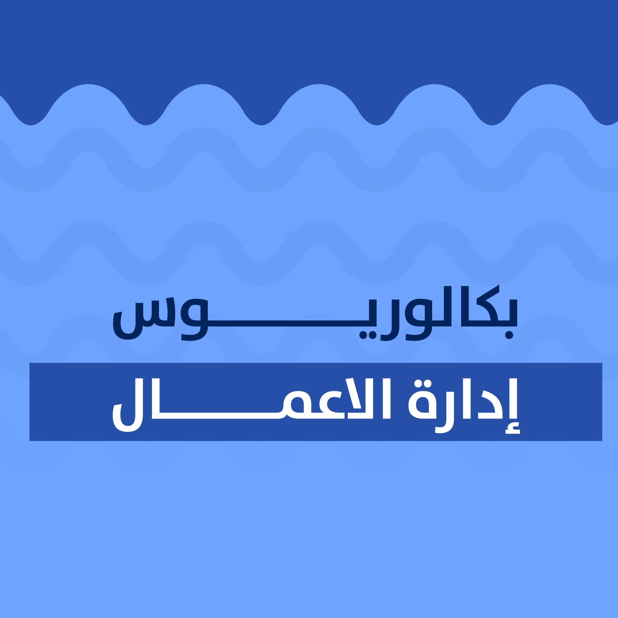 بكالوريوس إدارة الاعمال